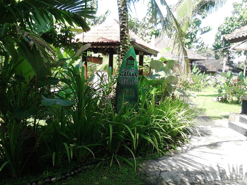 Pondok Balian Selemadeg  Экстерьер фото
